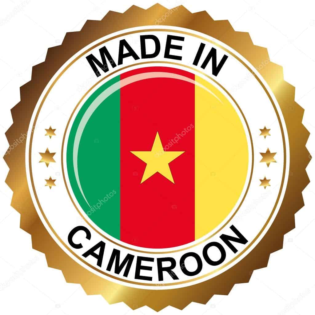 MiC: Made in Cameroon